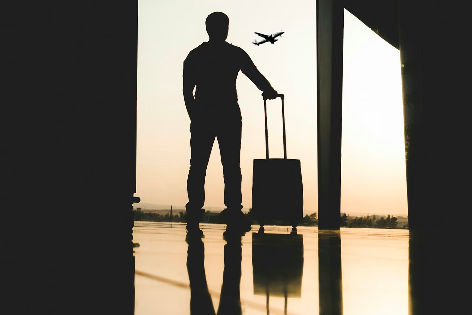 Traveler with a suitcase at the terminal window
